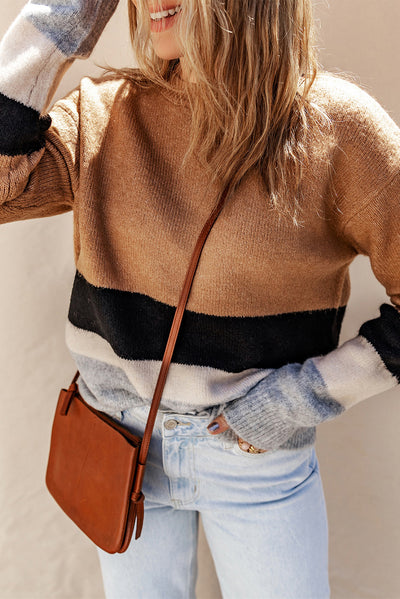 Brown Casual Striped Colorblock Ribbed Knit Sweater - Roses
