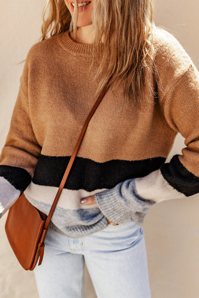 Brown Casual Striped Colorblock Ribbed Knit Sweater - Roses