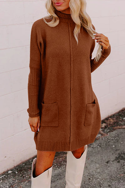 Chestnut Ribbed High Neck Front Pockets Center Seam Shift Sweater Dress - Roses